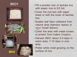 Korean Natural Farming Inputs - Part 1 like and share https://www.facebook.com/projectnaturalfarming | Project Natural Farming