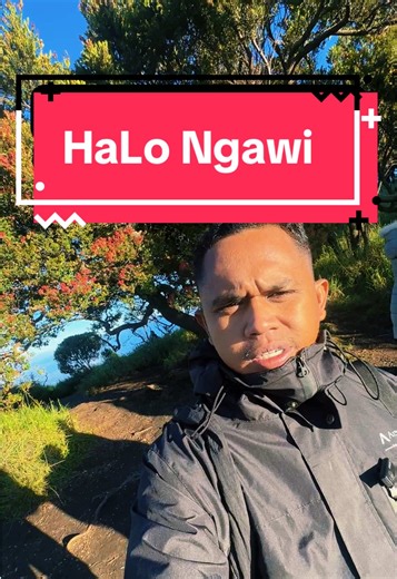 Privat trip Gunung Bromo via Tumpang Malang sudah bisa antar rumah kalian . Fasilitas : - Jeep tour - Tiket masuk wisata - dokumentasi - edit video - Antar jemput rumah - Tumpang Malang #tripbromo #tourbromo #tourbromomalang #tripbromomalang #privattripbromomurah