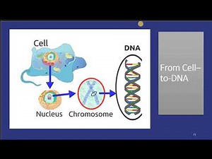 Lec 2-Accelerating DNA/RNA Sequence Alignment Algorithms using FPGA ,CNN, and ML