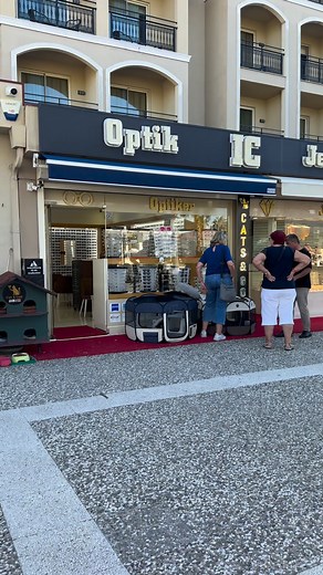 49K views · 2.1K reactions | Hercules ist da. #catsandgold #fblifestyle #katze #katzen | Cats and Gold | Facebook