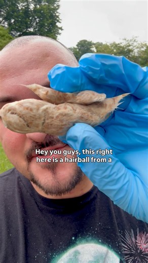 It Spit Up WHAT?!