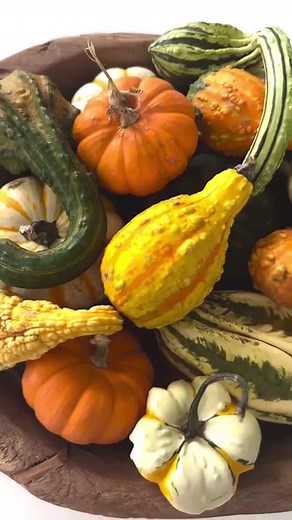 How to make a gourd-eous centerpiece…buy a bunch of gourds and put them in a bowl 🤣 | She's Crafty and She Knows It