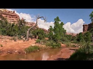 Arch Canyon Utah, GO NOW!