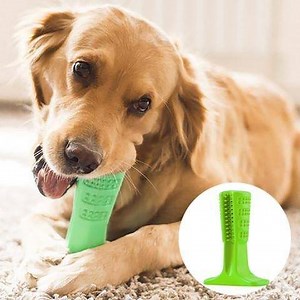 Let Your DOGBRUSH Its TEETH On Its OWN❗With This DOG TOOTHBRUSH CHEW TOY. Buy One, Get One 50% OFF  SHIPS FREE From Toronto.  Order Yours Here ➡https://bit.ly/2GT5zwK | Showcase - Home Of The Hottest Trends | Facebook