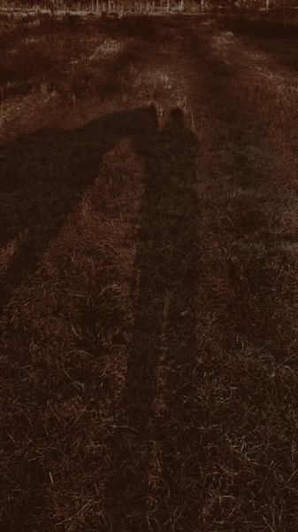 Western Vibes: Darling Won't You Take Me Home Song Edit