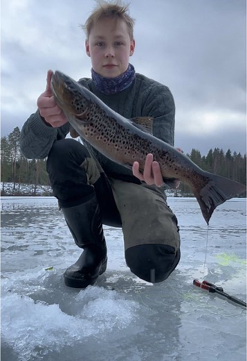 Kalastus ja Taimen: Pilkkiminen Järvellä