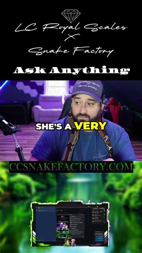 Will She Bite? Adorable Dog's Teeth Revealed! #shorts