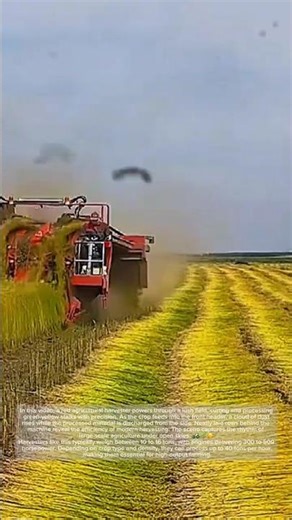 Modern Crop Harvesting – What Drives This Red Harvester?