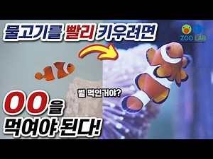 To grow your fish quickly, you need to feed them OO! Complete guide to fish food you need to know...