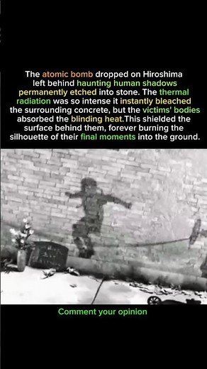 What They Didn't Tell You About Hiroshima #history #ww2 #facts