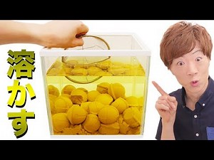 新作の発掘シリーズの土を大量に水槽に沈めて溶かす！！