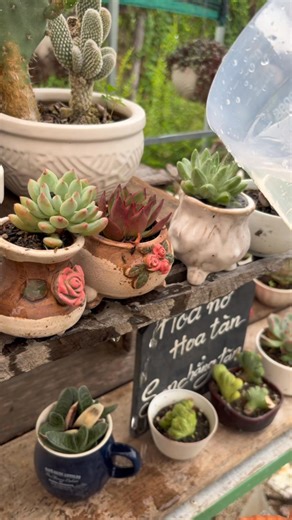 1.1K views · 3 comments | Honeycoffee1994 on Reels | Facebook