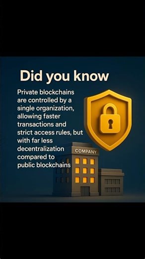 Private Blockchains: Faster but Far Less Decentralized Than Public Networks