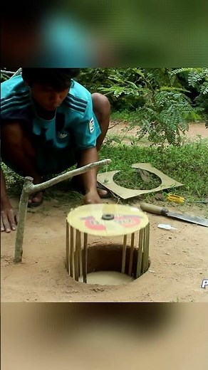 CRAZY Bird Trap Made with PLASTIC BALL Works Like a Charm on PARROTS