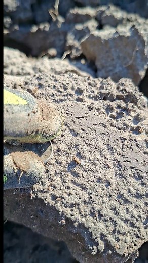 Denar krzyżowy około 1050 rok 🙂 | DENAR Kalisz - Stowarzyszenie Poszukiwaczy Śladów Historii