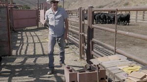 235K views · 7.7K reactions | We wrote #TalesFromYellowstone with the hope that listeners would be transported to #JohnDutton's world through music. When we chose the packaging for the physical CD, we took it one step further by wrapping it in leather and branding each CD with the iconic #YellowstoneDuttonRanch brand. . . Win your own copy by entering our giveaway here: https://fanlink.to/TFY-Giveaway | Kevin Costner & Modern West | Facebook