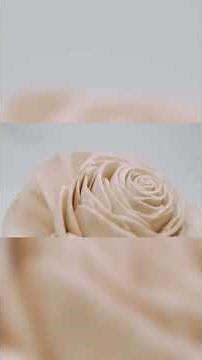 How To Paint Sola Wood Flowers Using Sola Dye