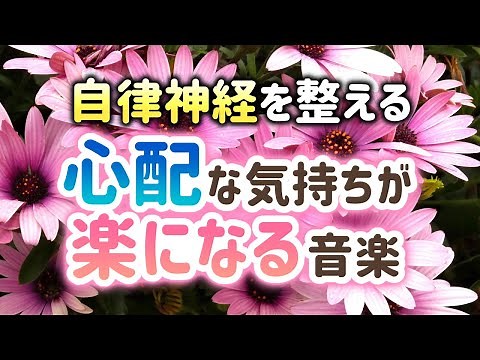 【自律神経を整える】心配な気持ちが楽になる癒しの音楽【テンダートーン】