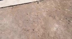 2.1K views | Vendo tractor Ford 5000 $150,000 Informes 4621116262 Con WhatsApp ☎️Pregunta sin COMPROMISO por WhatsApp, Sólo da Click aquí: bit.ly/2VEzjXg | Maquinaria e Implementos Agrícolas APL | Facebook