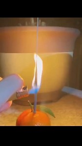 11K views · 74 reactions | Sparkler In An Orange = So Cool! | Blake K | Facebook