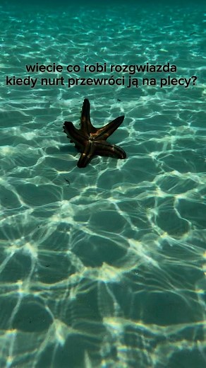 160K views · 14K reactions | World Wide Travel on Reels | Facebook