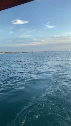 Magical Sunset Dhow Cruise Experience | Nungwi, Zanzibar 🇹🇿