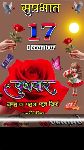 Khalnayak on Instagram: "🌹 बुधवार सुबह का पहला फूल आपके पास 💐good morning 🌄🌹 #trendingréels #instagood #welcome #17december #wednesday #treding #videos #instagram #reels"