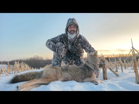 -13° Wisconsin Frigid Coyote Hunt - January 23rd, 2026