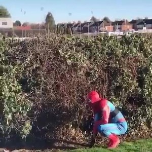 Are your spidey-senses tingling? | Match of the Day