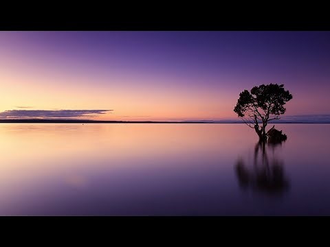 Soothing Sounds - Waves & Loons Calling At Night {Fall Peacefully Into Sleep}