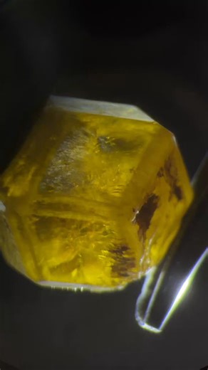 結晶の綺麗さ、原石の段階での透明感、そしてウラル産の特徴ホーステールインクルージョン。緑ならデマントイドだけど黄色だからトパゾライト（アンドラダイト）ガーネットです。2026年5月10日21時からの13周年祭Webセールに登場します！