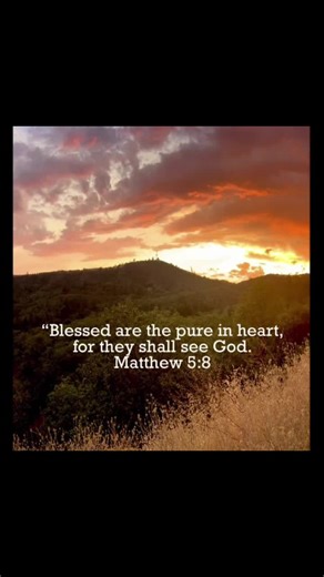 Matthew 5:8 #biblestudy #scripture #bibleverse #christiantiktok #amen🙏
