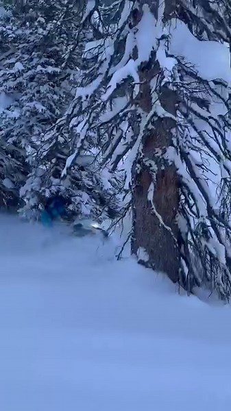 We were finally able to get out and do some high altitude deep snow testing on our Catalyst kits and all we can say is. MEOW | Silber Turbos