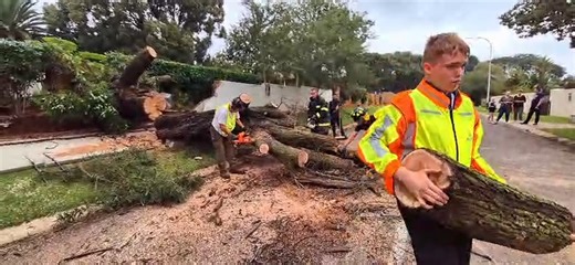 18K views · 82 reactions | Fallen Tree Cleared By SCP Private Fire Search & Rescue | Northcliff Massive tree blocks road in Northcliff, causing damage and chaos – but wait till you see how quickly it was cleared! Find out how a quick-thinking crew turned a disaster into a success. Read More: https://bit.ly/4ljfRYn #FIREENGINE #SCPSECURITY #PUBLICSAFETY ▀▄▀▄▀▄SCP Security▄▀▄▀▄▀ | Suburban Control Centre | Facebook