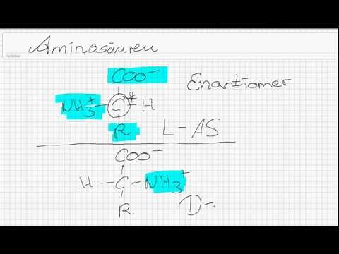 Aminosäuren Teil 1