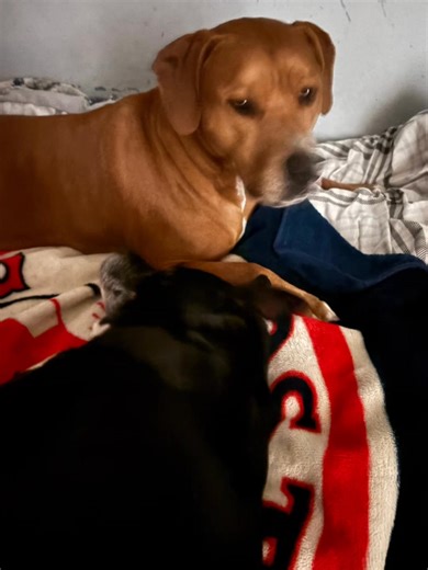 Karen Domijan on Reels | Facebook