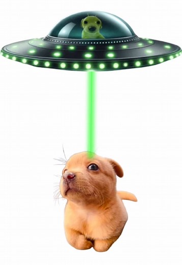 Adorable Alien Dog Companions on TikTok