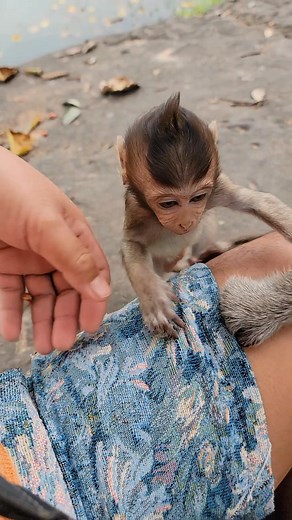 Gracie so lovely girl 👧 | Hand Products