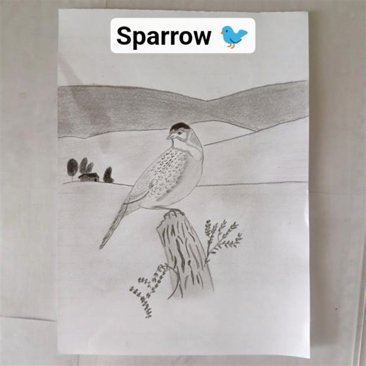 How to Draw a Realistic Bird on a Wooden Log. #sketching#popular