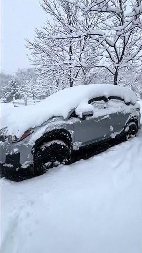 Feb 17, 2026 epic snow day in Carson City Nevada