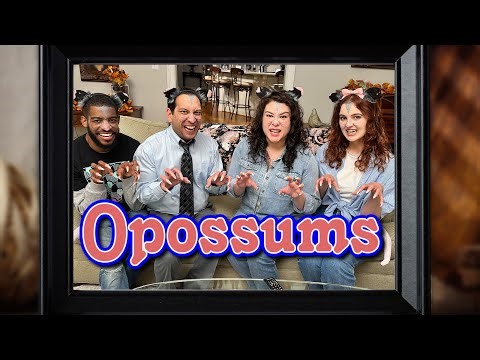 If Opossums had a Sitcom