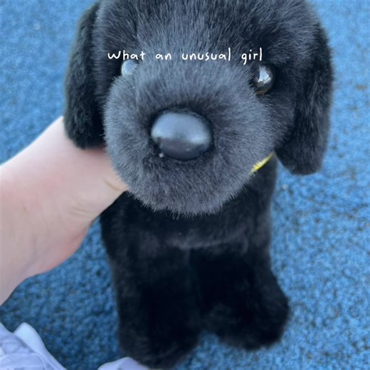 Those-working-dogs4 on TikTok