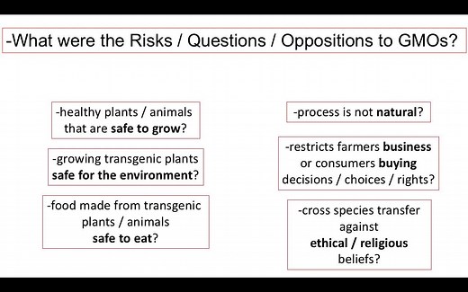 Risks, Benefits, and Regulation of GMOs