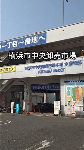 横浜市中央卸売市場の一般開放日！