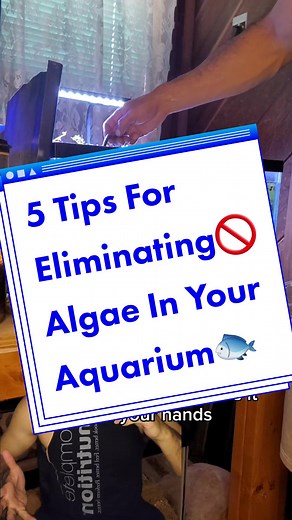 WestTexasAquarium on TikTok