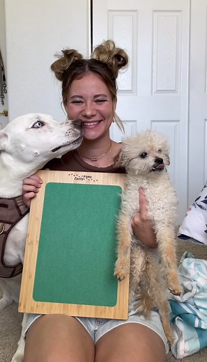 Zenley Paws Dog Scratchboard: A Gentle Grooming Alternative