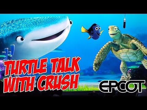 Turtle Talk With Crush at EPCOT Walt Disney World (Feb 2024) [4K]
