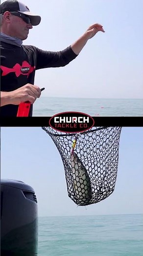 The Walleye Board doing what it does best in the fall, helping anglers put more walleye in the net!!