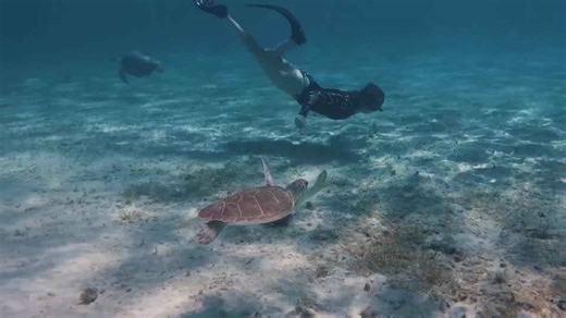 Living aboard a hybrid electric catamaran