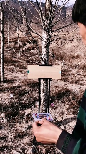 Everything can fly, flying cards collection #growth plan